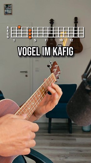 AOT & Anime Songs on Ukulele | uKoalele