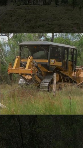 Big Bulldozers bringing down trees!