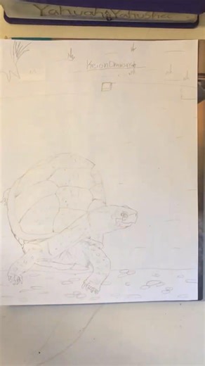 Watch me hand draw a Box Turtle￼. #handdrawing #yahuah #turtle #youngartist