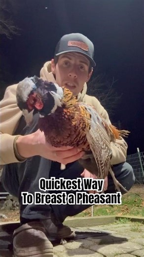Fastest way to Clean a Pheasant #hunting #pheasant #birdhunting #deerhunting
