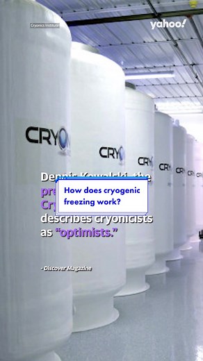 How does #cryogenic #freezing work? 🥶 #cryogenics #cryogenicallyfrozen #cryogenically #yahoonews #yahooaustralia