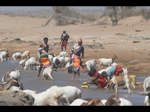 The Path of the Brave- Moran & Education