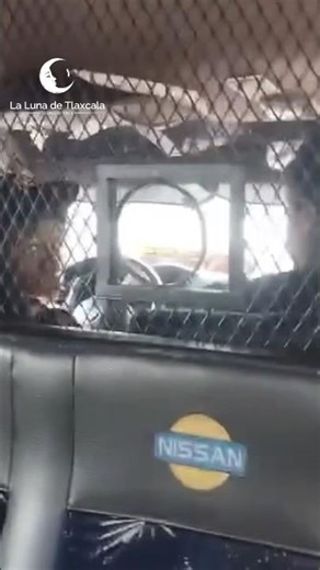 Combi driver smoking with passengers