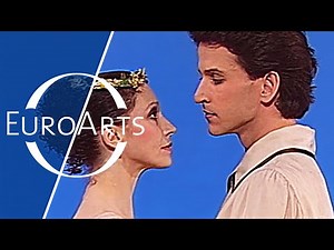 Marcia Haydée's "Giselle and the Willis" | Ballet with Richard Cragun & Birgit Keil (Stuttgart 1992)