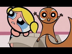 THE POWERPUFF GIRLS | STRAY BULLET | REACTION