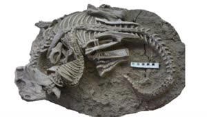 Is This The Earliest Evidence of a Dinosaur Being Eaten By a Mammal?