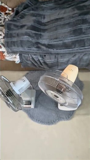12” vintage oscillating table fans on hot spring day #fancollection #electricfan #shorts