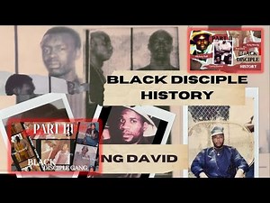 The Complete Black Disciple History: 1960s–Present Chicago Gangs (Parts 1-3)