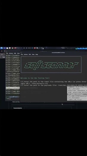 Loxs Advanced and Lightweight SQLI Scanner for Ethical Hackers part 1