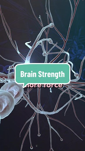 IOHA (@instituteofhumananatomy) - Understanding Strength Gains Through Nervous System Adaptations