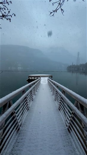 Biophilia is the human tendency to connect with other living things and nature. In Greek, bio meaning “life” and philia meaning “friendly feeling toward”. 🌲Biophilia can describe the connections that human beings subconsciously seek with the rest of life. 🌲 Walking through a forest, climbing a mountain, seeing flowers bloom, staring out into the ocean as waves crash into the shore have been activities humans have done since time immemorial and they can awaken raw feelings of connection. 🌲 Wha