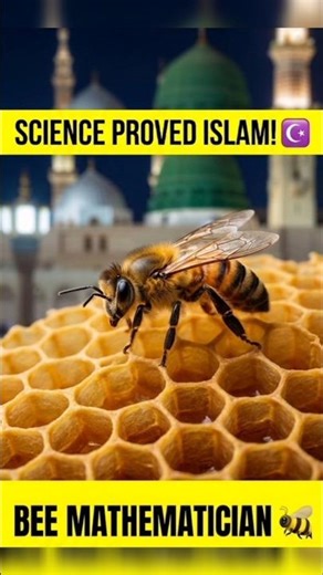 The Secret Math of Honeybees 🐝📐 #shorts #islam #miracle