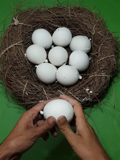 Crunchy ASMR with Balloons for Relaxation