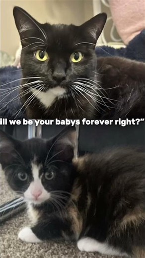 Will we always be your baby’s ?