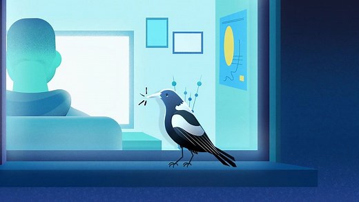 Light pollution - DCCEEW