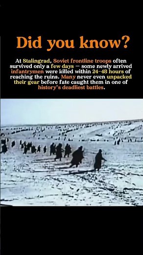 Stalingrad: The Battle Where New Recruits Didn’t Survive a Day