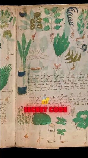The Voynich Manuscript: A Book No One Can Read