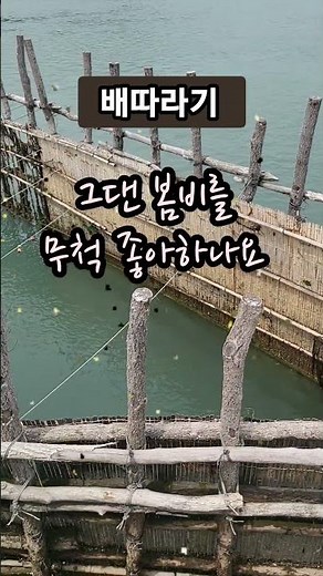 배따라기 - 그댄 봄비를 무척 좋아하나요 #가요 #7080# 추억리노래
