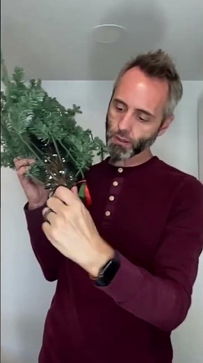 Connecting the Tree Components