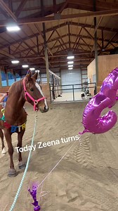 12K views · 950 reactions | Happy Birthday to my THREE year old horse! 殺勞 #horses #horselove #horselover #happyhorse | Double Z Farm | Facebook
