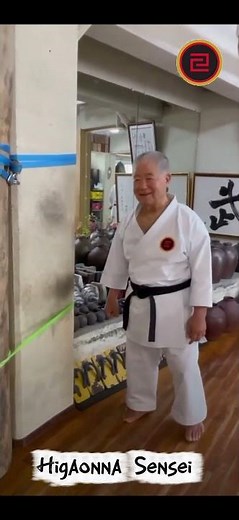 Morio Higaonna Sensei #livinglegend #okinawankarate #master #gojuryukarate#shorts #best #umauae #fyi