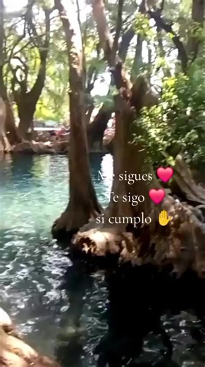 ✋️🙏🍀✨️#tesigo #mesigues #sicumplo