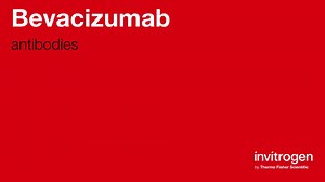 Bevacizumab antibodies from Thermo Fisher Scientific