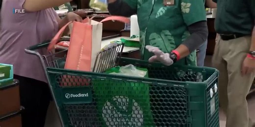 Hawaii Relief Program aims to protect families from federal shutdown impacts