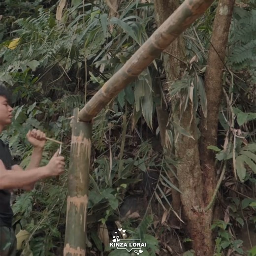 25K views · 552 reactions | "Solo Bamboo Cabin Build  Primitive Style" #PrimitiveSkills #BambooShelter #SurvivalBuild #OutdoorAdventure #FYP | Kinza lorai | Facebook