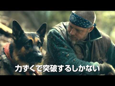 ブラッド・ピット主演最新作！映画『ハート・オブ・ビースト』ティザー予告｜退役軍人と愛犬の“絆”を描く感動ドラマ