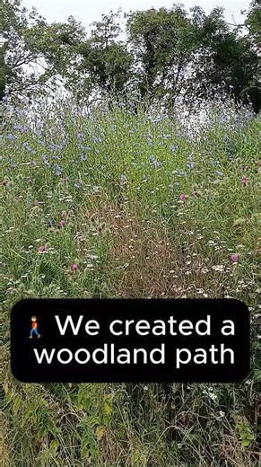 This Experiment Didn't Quite Work... 🌳