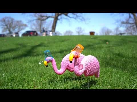 Orange & Blue - Sarah Jarosz (Student Music Video)