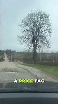 The Bank Account That Pays You Based on Your Life Value 😳💰