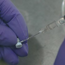 Video: Osmotic Pump-based Drug-delivery for In Vivo Remyelination Research on the Central Nervous System