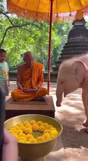 วิดีโอของ Dreamcast (@dreamcast46) พร้อมเพลง เสียงต้นฉบับ - Dreamcast