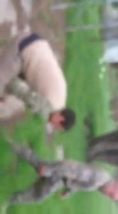 5.8K views | Why buy from Fortis? Because we test all our products on ourselves. Therefore we can give you best advice. | Fortis Pro Active Defence Solutions | Facebook