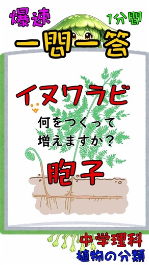 [Middle School Science] Lightning-Fast Q&A: Plant Classification