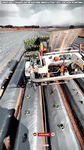 Vegetable Transplanter Machine Innovation Tool For Row Planting