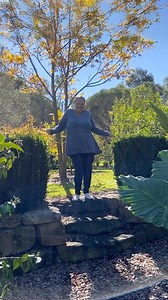 3.1K views · 54 reactions | Do you want a soft knit, one that has not itch and easy wash and wear? ❄️☀️ Butter soft  Not bulky or heavy, which makes them perfect for layering. Perfect trans seasonal piece Sizes 18-32 in black, blue and Khaki - Pink only a couple of sizes left 勺 Grab yours here  https://shorturl.at/yXcIA | Curvaceous Plus Size Clothing | Facebook