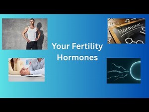 Hormones That Drives Male Fertility | Urologist Explains Testosterone, FSH, LH & Real Science