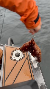 71 reactions | Exploring the BC Coast | Hinterland Outdoors | Facebook