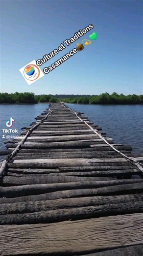 Venez découvrir la Casamance son histoire, sa culture et les traditions de son peuple ,🪘🛖🍀🌿🌴🌳🌾🌾🪘💚. | Aventure Destination Sénégal