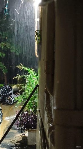 Mưa Rơi Phố Cổ Đêm Khuya 🌧️