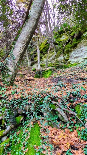 Autumn Mountain Serenity | Relaxing Nature Sounds & Amazing Fall Scenery 🏔️