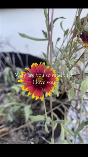 Understanding Relationship Conflicts: Love vs. Anger