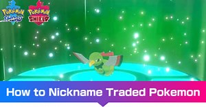 How to Change the Name of an Event Pokemon - What Box Game