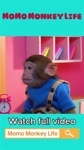 Monkey MoMo Gets Angry After Catching Baby Monkey Using the Phone 😡📱🐒 | MoMo Monkey Life