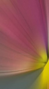 Les Simpsons lavaient encore prdit #complot #theorie #theorieducomplot #storytelling #pourtoi #pourtoipages #viral #histoire #horreur #crime | Théories Cachées