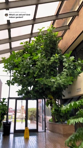 Understanding Atrium: A Look at Ancient Greek and Modern Day Architecture