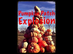Pumpkin Patch Explosion